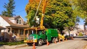 Understanding Tree Removal: Is It Covered by Your Homeowners Insurance?